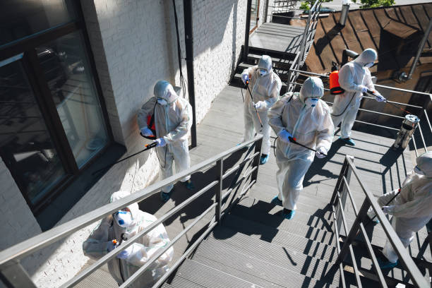 Best Industrial Mold Remediation  in Lexington, MI