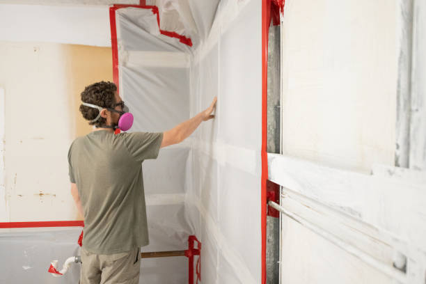 Environmental Consulting for Mold Prevention in Lexington, MI