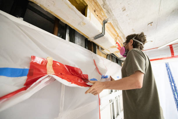 Best Emergency Mold Remediation  in Lexington, MI