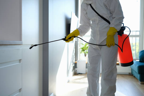 Best HVAC Mold Inspection and Cleaning  in Lexington, MI