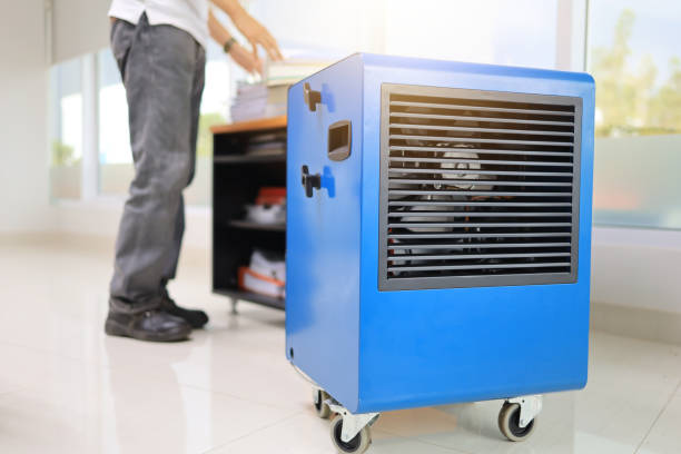 Best Comprehensive Air Testing for Mold Contaminants  in Lexington, MI
