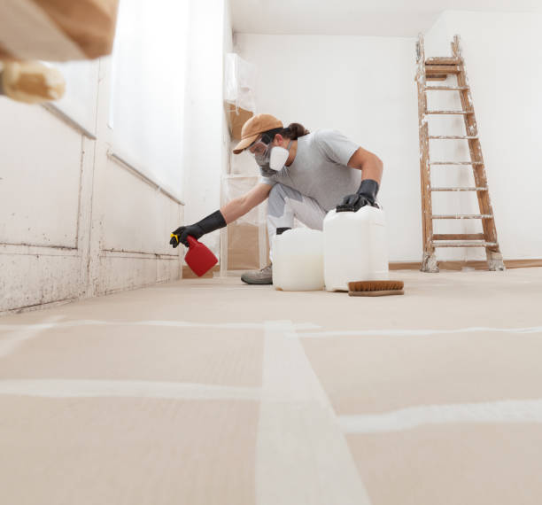 Best Dehumidification Services  in Lexington, MI
